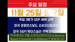 주간브리핑(25.11.17 ~11.21)