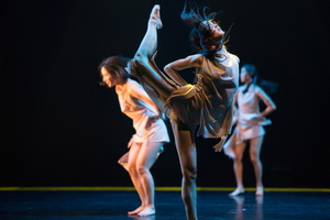 인천시립무용단, 기획공연 참여할 안무가 공개모집