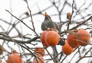 아직 좀 남았군